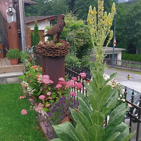 Thalerhof-markus Roppen