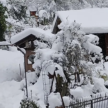 Thalerhof-markus * Roppen